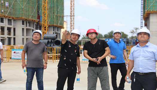 意昂体育注册董事会巡检圆满完成